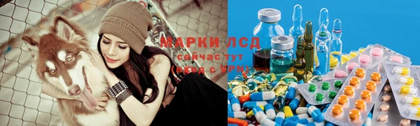PSILOCYBIN Касимов