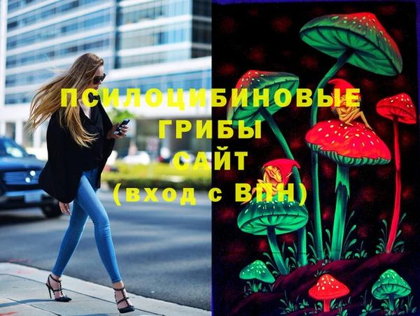 марки nbome Карпинск